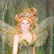 See Js Fairy Forest