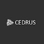 Sistema de Cobrança Cedrus logo
