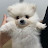 @쿠이-o3j