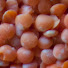 JIcbJn-RylQ-channel-avatar-Bowl of Lentils