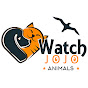 Watchjojo Animals
