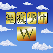 電波少年W