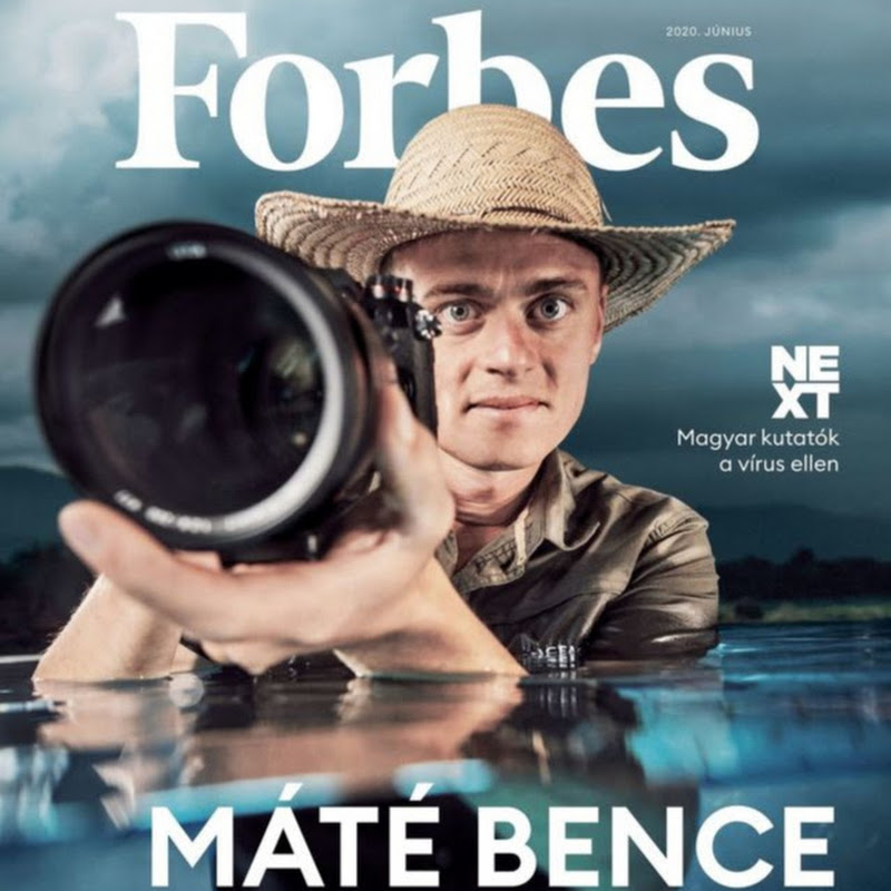 Máté Bence - A láthatatlan madárfotós icon