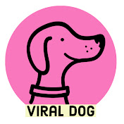 viral dog
