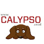 Calypso Land logo