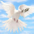 BqxxBjAHKbg-channel-avatar-Pax Christi