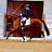 JM_Dressage