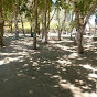 robertoandresnunez5935