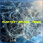 Aviation Brasil News