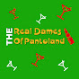 The Real Dames of Pantoland logo