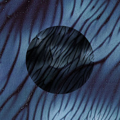 Daniel Norgren - Topic