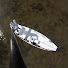 PpABMJ4YCeA-channel-avatar-Jeff Hammer Fishing