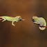 2Z1_AzH4sAM-channel-avatar-Boromir Widas