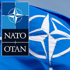 NATO Avatar