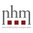 U6wHlGZqmS4-channel-avatar-NHMWien