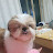 @담비-c4e