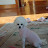 @lucie3034 Avatar