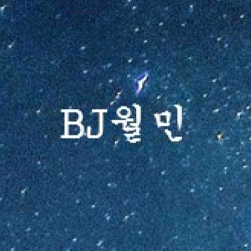 BJ월민