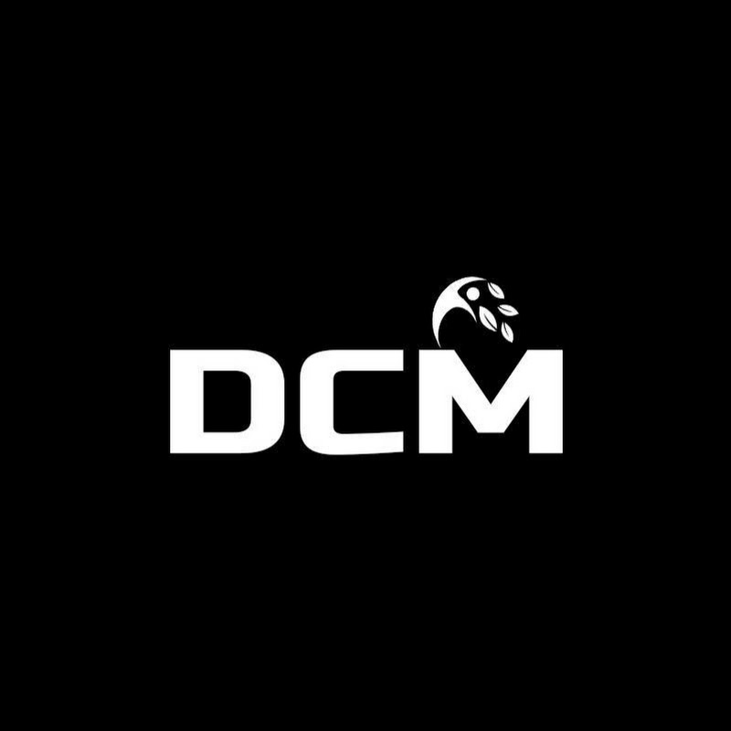 Digital Consultant Marketing LLC