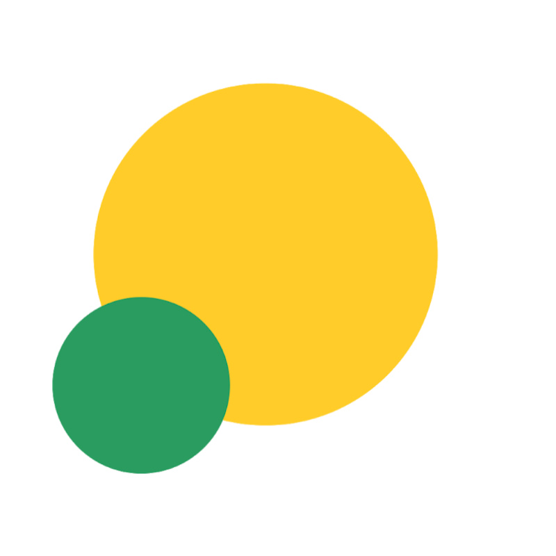 Brazil Africa Institute