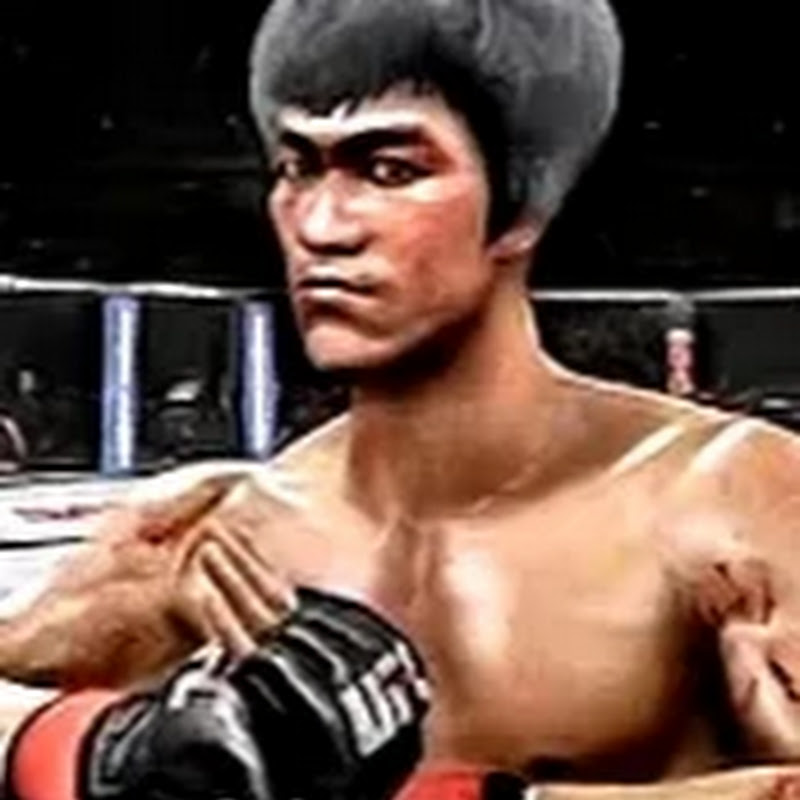The Bruce Lee UFC