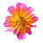 @chiuhungwong4460's avatar