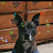 @baronvonjo1929 Avatar