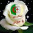 @soumiabensihamdi2431