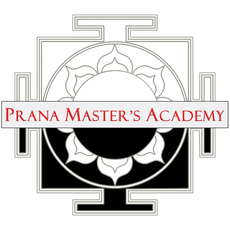 Prana Master's Academy - Martial Arts & Yoga