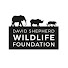 aVUlzxl43O0-channel-avatar-David Shepherd Wildlife Foundation