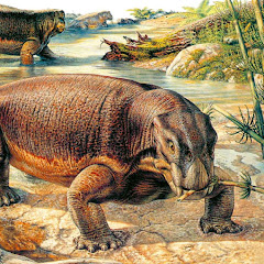 Ancient Animals