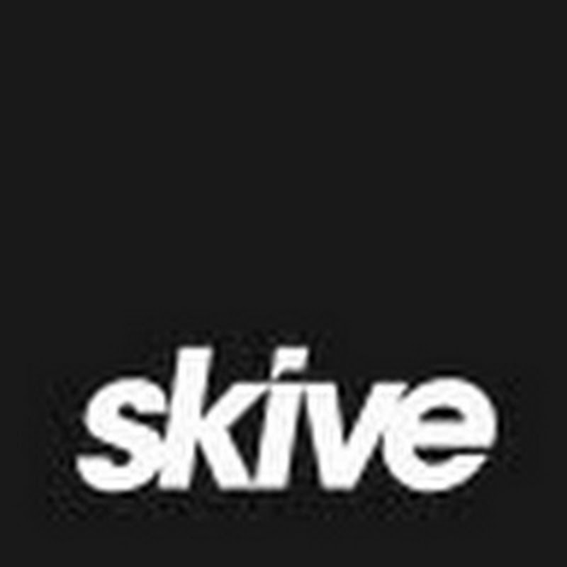 skivesoup