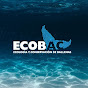 ECOLOGÍA Y CONSERVACIÓN DE BALLENAS A.C. (ECOBAC) logo