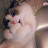 @Dear_Bloom
