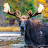 Moose Project