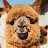@2780-x4g's avatar