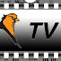 z-IMNKkgdnA-channel-avatar-Oriole TV