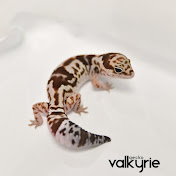 Valkyrie Gecko