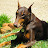 @kylemlm Avatar