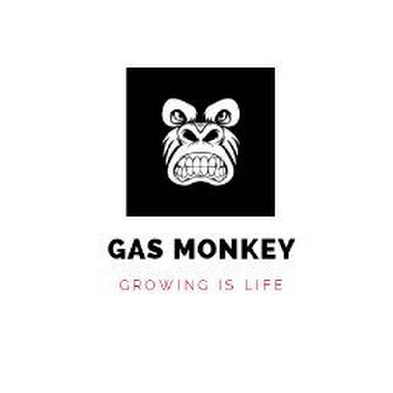 Gas Monkey icon