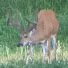 oX6ycECu6mU-channel-avatar-Steffen Outdoors