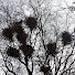 xXXxwhMa1j4-channel-avatar-DAVID SLATER DRSVIDEOCLIPS