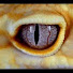 q4nKs6rN5xo-channel-avatar-Paolita incastrata