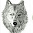 @davitpetrosyan4632