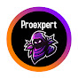 Proexpert logo