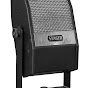Stager Microphones