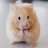 @user-os6me9rr6z