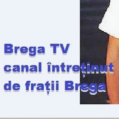 Frații Brega