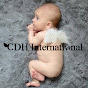 CDH International logo