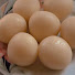 V7H0vXzhhTQ-channel-avatar-Mithila’s Recipes America